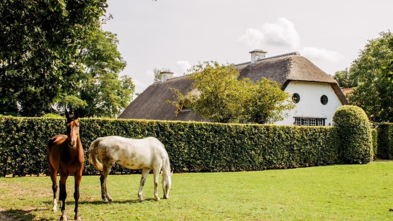 Truyenhof Bed and Breakfast Bree Buitenkant foto